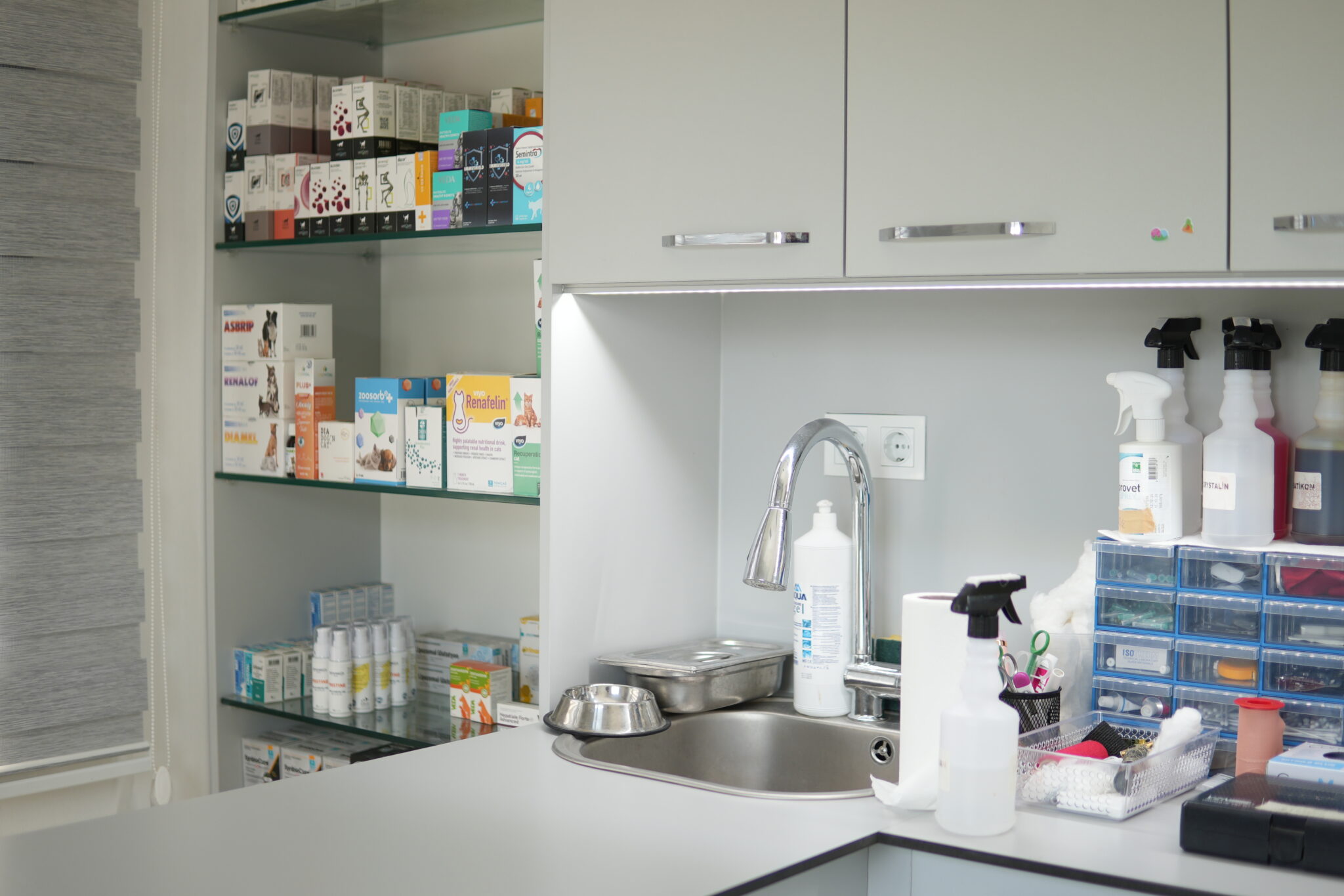 The Vets Hub hijyenik klinik ortamı