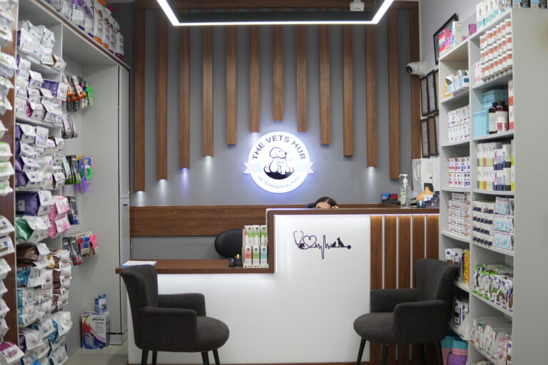 The Vets Hub kliniği karşılama alanı