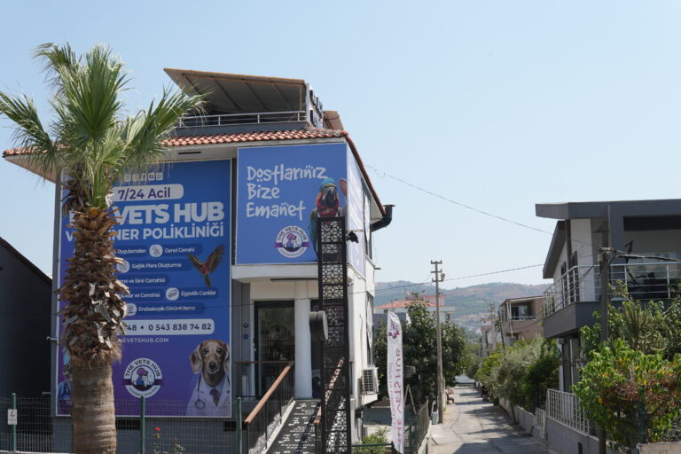 The Vets Hub kliniği dış cephe